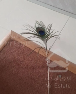 ۱۴۰ متر ولیعصر جنوبی دانش ۱۸ متری محلاتی