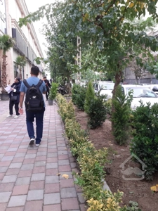 اجاره مغازه 233متری