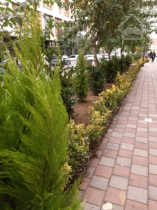 رهن و  اجاره  واحد تجاری 26 متری رونیکامال هروی