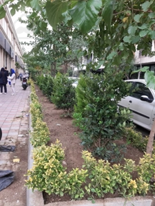 فروش مغازه تجاری 37 متری رونیکامال