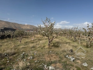 فروش زمین در سربندان دماوند