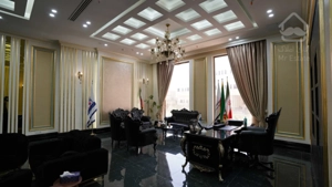 رونیکاپالاس دردشت6000واحد در قاب یک اثرهنری