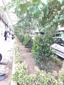 اجاره واحد 68 متر تجاری رونیکامال در هروی