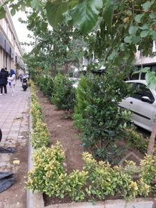 رهن و  اجاره  واحد تجاری 24 متری رونیکامال تجاری