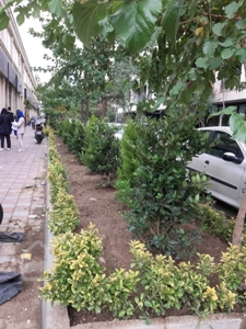 اجاره مغازه 25 متر در رونیکا مال پاسداران