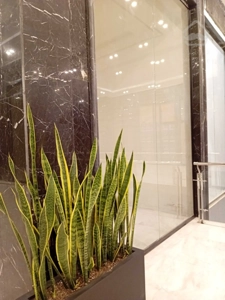 فروش اقساطی مغازه 17 متری در رونیکامال هروی با اقساط بلند مدت