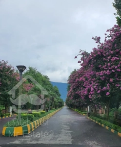 ۵۰متر مناسب مجرد فلت