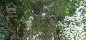 آپارتمان ۶۴ متری غرق نور