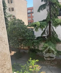 ۱۲۵متر فرعی دنج خ ولیعصر نوسازی شده با ویو مشجر