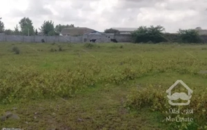 فروش زمین 500متری ساحلی