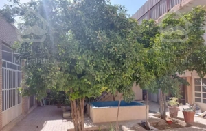 خونه دوطبقه ۴۳۷ متر