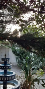 خانه درمحله ای ارام