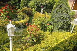 علف تراشی هرس کردن سمپاشی کود و کاشت گل و گیاه