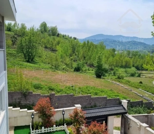 ویلا کوهستانی استخر دار، لاهیجان