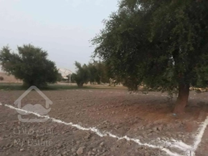 ۱۰۰۰متر زمین کشاورزی بفروش میرسد.