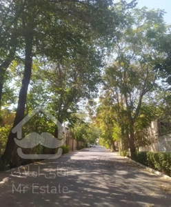 فروش ۱۰۰۰متر شمالی گیلاوند رجایی لادن یک