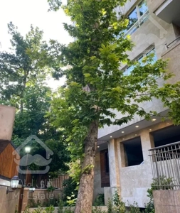 ۸۸متر مدرن قیطریه پل رومی مشاعات دار (اوقاف)