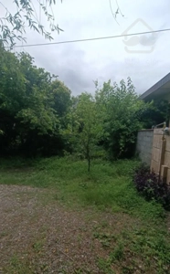 150 زمین بافت زرد با 64 متر بنا شیرود