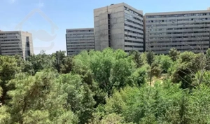 دو خواب فاز ۲ بلوک اساتید