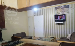 ۴۵ متر یک خوابه دولت