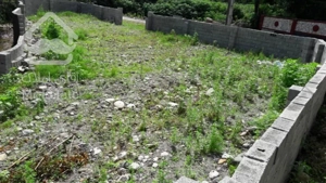 فروش زمین مسکونی جنگلی،،زیر قیمت