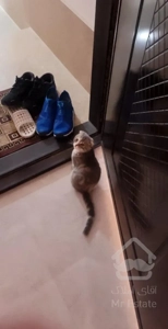 فروش و معاوضه باماشین واحد۵۵متری