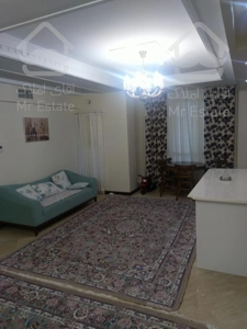 بلوار فردوس غرب ، پروانه جنوبی ، ۶۰ متر ۱ خواب ، فول امکانات