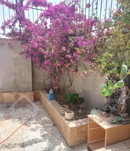 اجاره همکف با قیمت مناسب