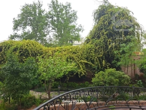 فروش 62 متر هروی