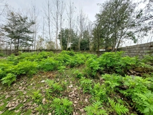 455متر زمین با پروانه ساخت ۷۵متری سنگر