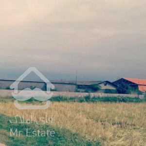 فروش‌فوری گاوداری