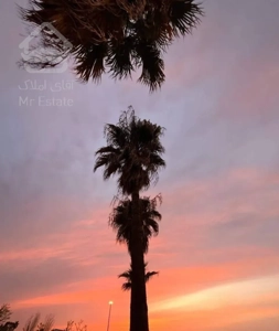 فروش ویلا ۵۵۰ متری پلاک اول دریا شهرک  دریاکنار