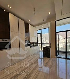 ۲۵۰مـتر فرمانیه شرقی تاپ لوکیشن ویـودار*فـوق مـدرن