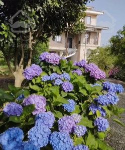 ویلا باغ یک خوابه محوطه باکلاس