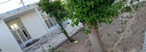 مسکونی خانه ویلایی