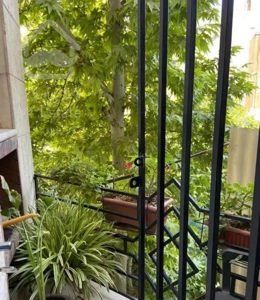 آپارتمان ۲۰۵ متری الهیه ۳ خوابه