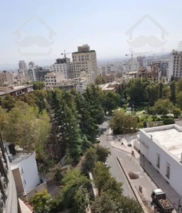 ۱۹۰متر کامرانیه شمالی