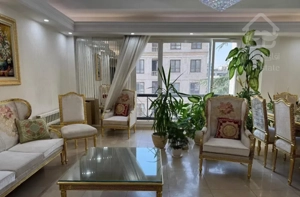 فرمانیه شرقی 170 متر سرمایه گذاری