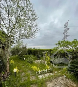 ویلای هزارمتری سنددار /نصف معاوضه /بیجاربنه