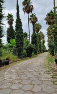 اجاره ویلا واقع در سلمانشهر