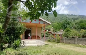 اجاره ویلا فاصله با رودخانه ۱۵ متر