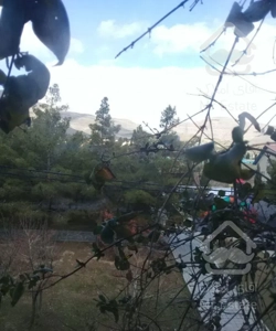 آپارتمان ۸۳ متر دو خواب