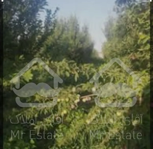 فروش باغ الوان