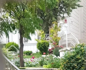 ولنجک ۱۴۰ متر ۳ خواب سرمایه گذاری