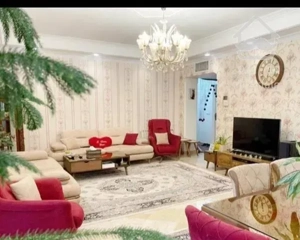 ۶۶متر/دکتر هوشیار/خوش نقشه