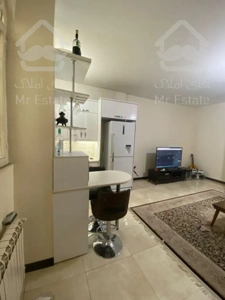 اجاره آپارتمان دو خوابه/صادقیه/بهنام