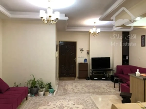 ۵۸متر ۱خواب فول امکانات سازمان برنامه جنوبی