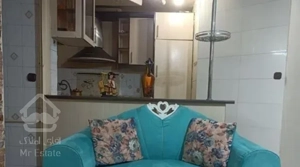 اجاره آپارتمان مبله 55 متری خیابان هفده شهریور