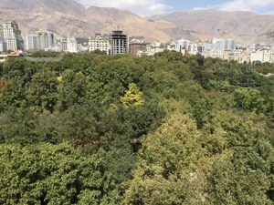 🔹۵۰۰ متر  + ۹۰ متر تراس رایگان - دید باز 🔹