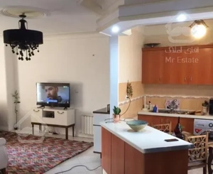 66 متری /فول امکانات/غرق در نور